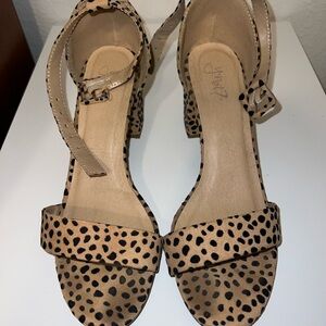 Y Not Leopard Print Women's Heels